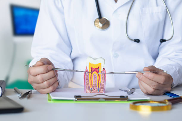 Best Cracked Tooth Emergency Dentist  in Parchment, MI